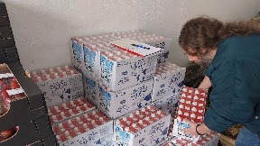 Premija za mleko